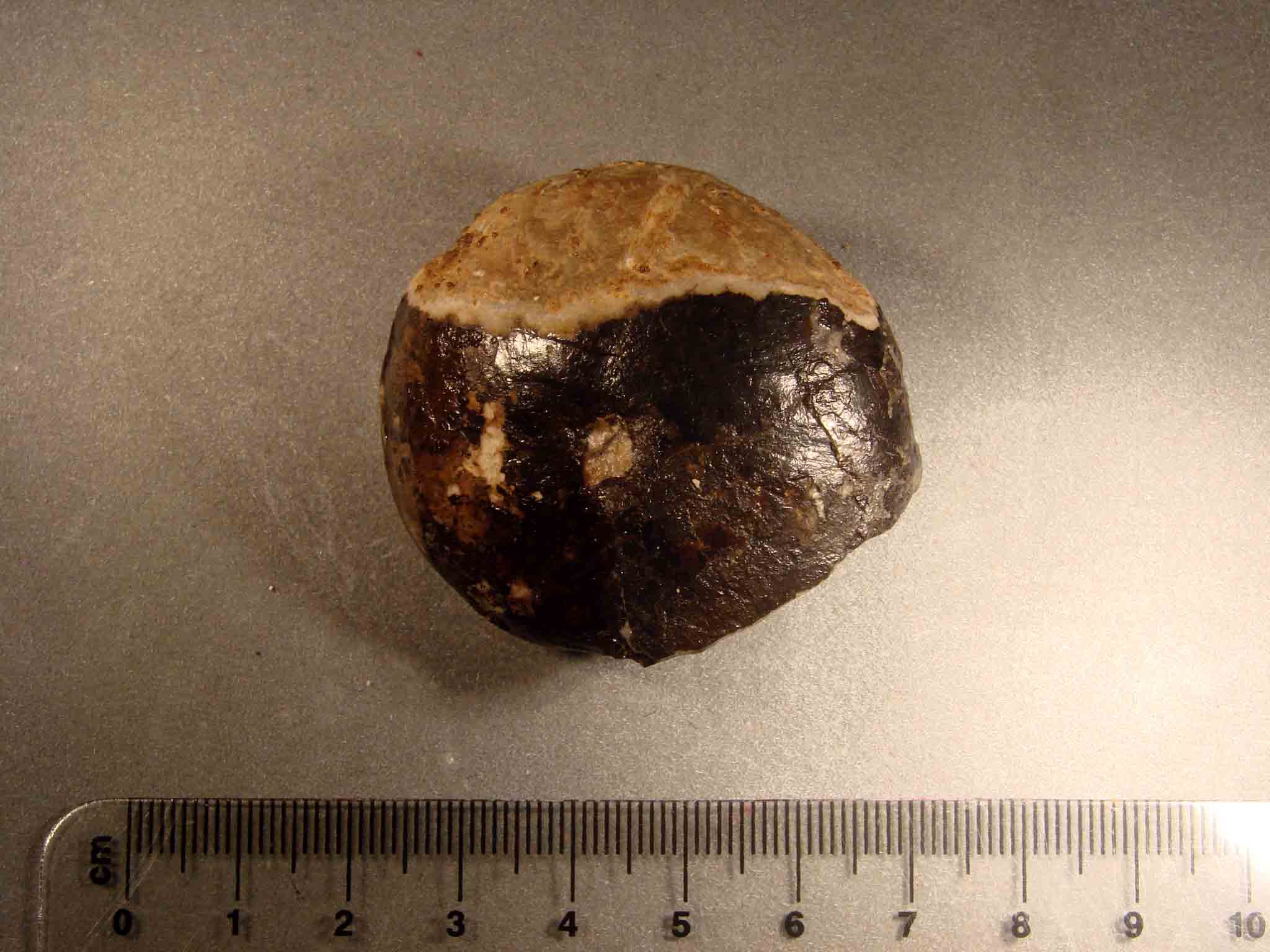 riconoscimento per.. esperti.